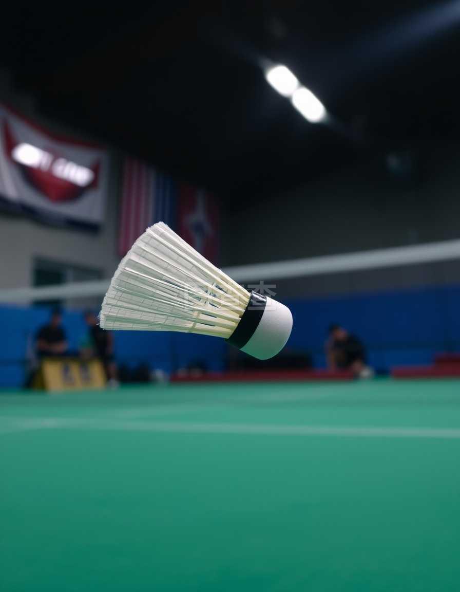 并不是指西 并不是指西