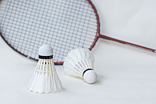 者齐聚一堂 者齐聚一堂