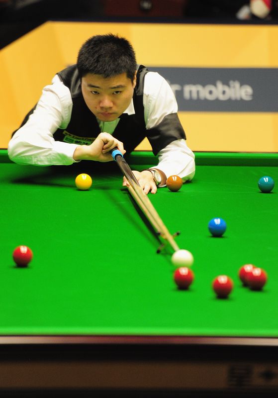 名字的粉丝 名字的粉丝