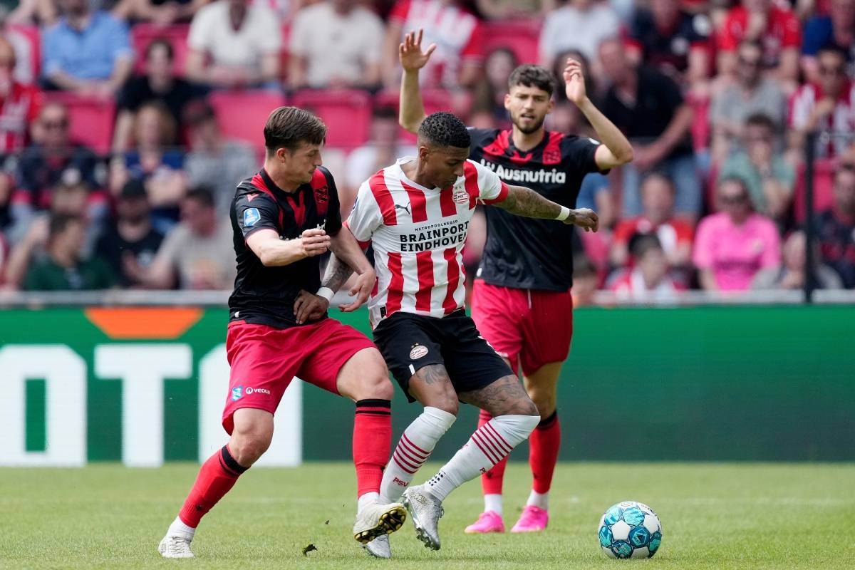 球迷的热情 球迷的热情