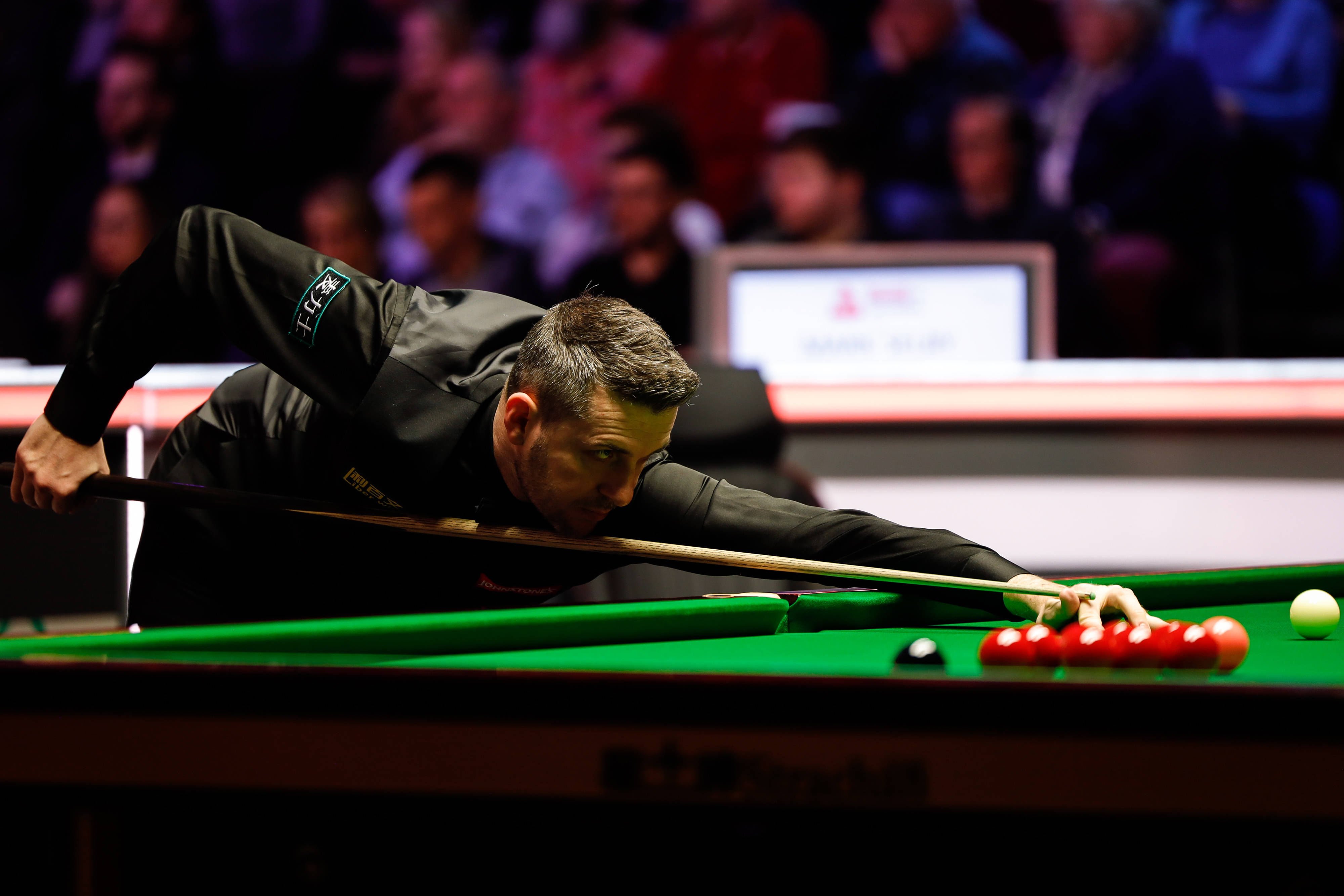 因为他们能 因为他们能