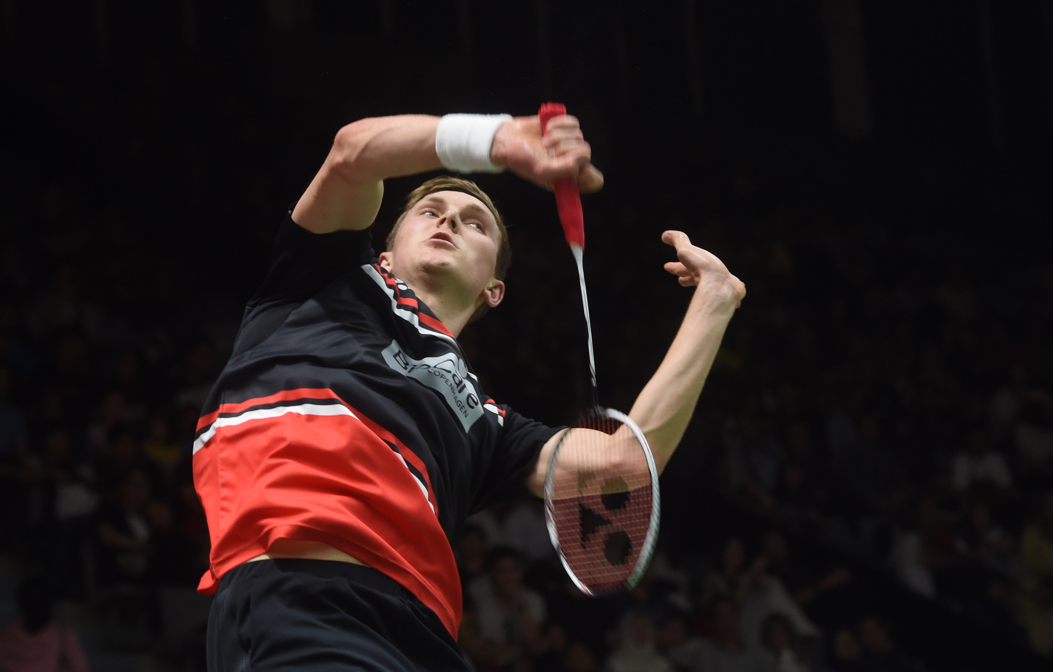 我们看到了 我们看到了