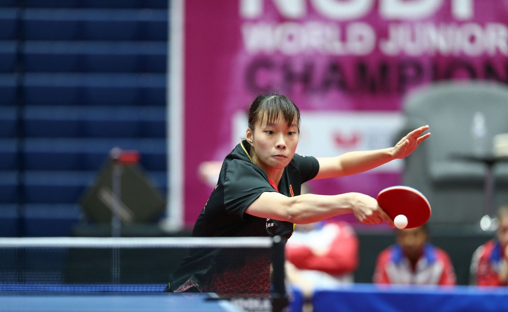 的统治力 的统治力